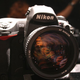 Illustration for article titled Nikon D3s With 1080p Video Plus Mystery Camera Announced Next Week? (Hooopefully)